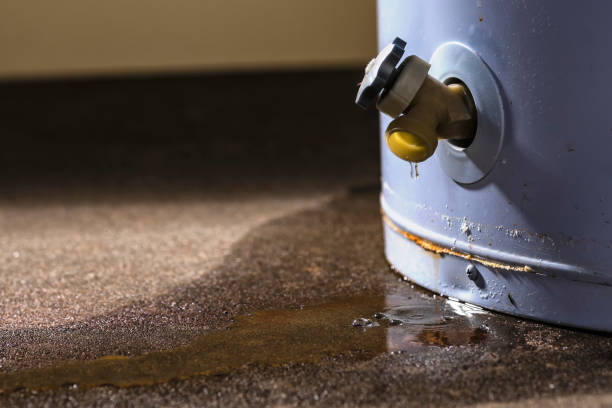  West Miami, FL Water damage restoration Pros
