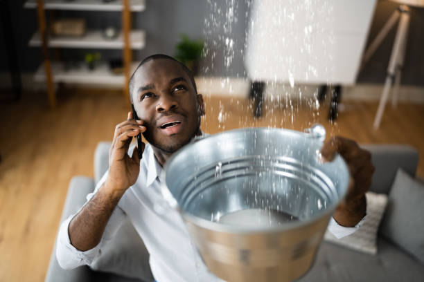 Best Water damage restoration services  in West Miami, FL