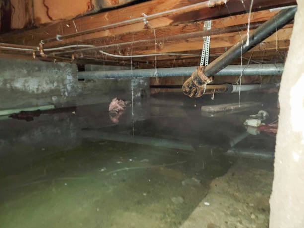 Best Water damage restoration near me  in West Miami, FL