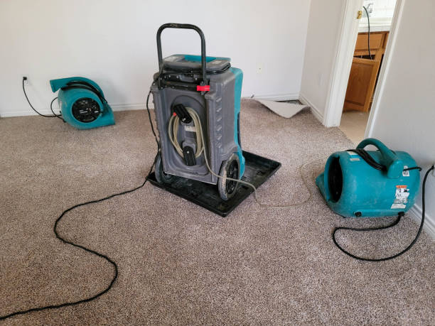 Best Flooded house restoration  in West Miami, FL