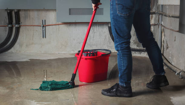 Best Water damage contractors near me  in West Miami, FL
