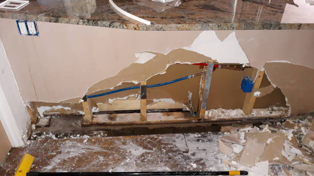 Best Ceiling water damage repair  in West Miami, FL
