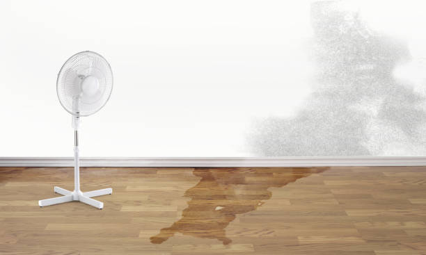 Best Residential water damage restoration  in West Miami, FL