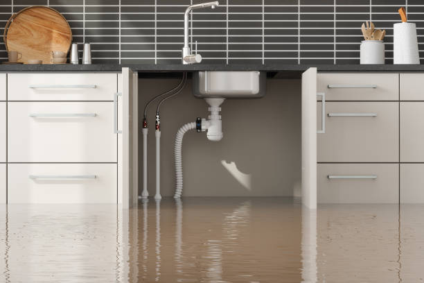 Best Sewage cleanup and water damage restoration  in West Miami, FL