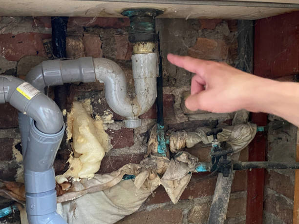 Best Water damage restoration near me  in West Miami, FL