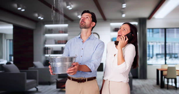 Best Basement water damage restoration  in West Miami, FL