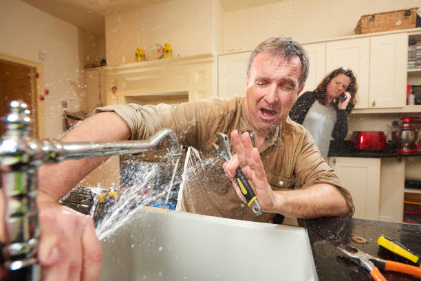 Best Water damage restoration services  in West Miami, FL